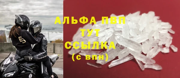 ГАЛЛЮЦИНОГЕННЫЕ ГРИБЫ Осинники