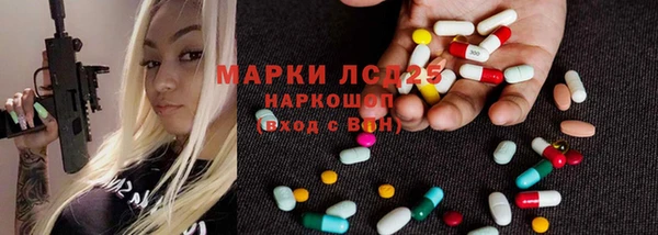 индика Армянск