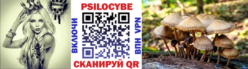 Псилоцибиновые грибы мицелий Видное